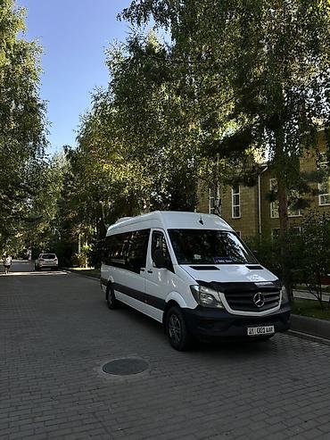 Пассажирский бус на заказ: Пункт назначения: Все направления, Количество мест: 18 — 1