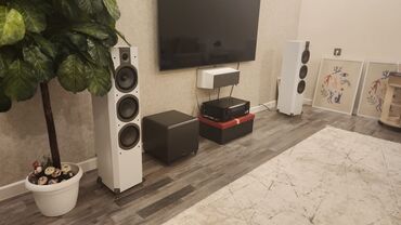 Mikrofonlar: İşlənmiş Kolonka, Növ - Sabvufer, rəng - Ağ