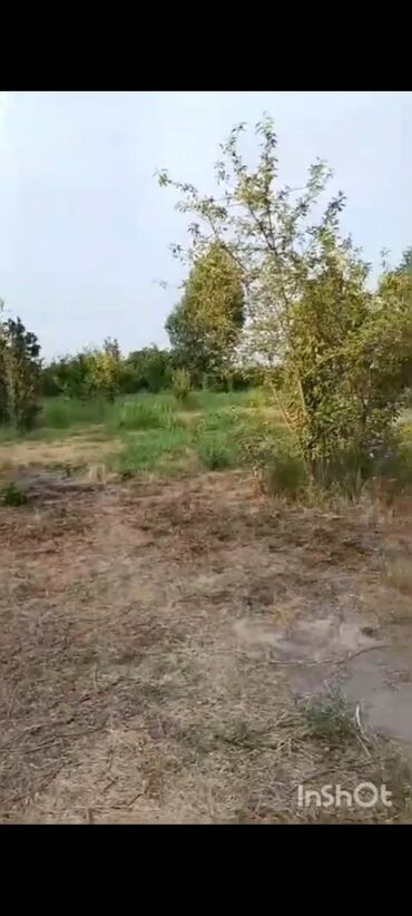 Torpaq sahələrinin satışı: 18 sot, Kənd təsərrüfatı, Mülkiyyətçi, Kupça (Çıxarış), Texniki pasport — 11