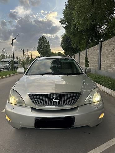 Lexus: Lexus RX: 2004 г., 3 л, Автомат, Бензин, Хэтчбэк — 10