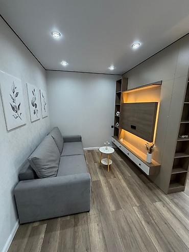 квартира 9мкр: 1 комната, 45 м², Технопарк 106 серия, 9 этаж, Евроремонт — 1
