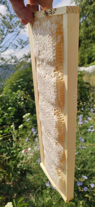 Bal: ELF BEE'S 1977 ECO-PRODUCT FOR HEALTH AND LONGEVITY Tovuzun -da lalafo.az — 4 Bal: ELF BEE'S 1977 ECO-PRODUCT FOR HEALTH AND LONGEVITY Tovuzun — 4