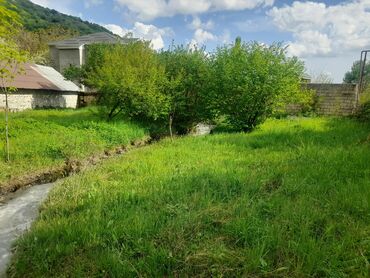 Torpaq sahələrinin satışı: 3 sot, Biznes üçün, Makler, Kupça (Çıxarış) -da lalafo.az — 13 Torpaq sahələrinin satışı: 3 sot, Biznes üçün, Makler, Kupça (Çıxarış) — 13