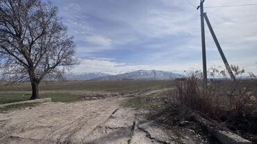 Продажа участков: 385 соток, Для сельского хозяйства, Договор дарения — 5