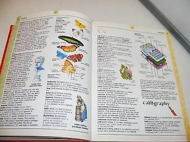 Knjige: Ilustrovani englesko-srpski rečnikVise od 1000 detaljnih ilustracija u — 5