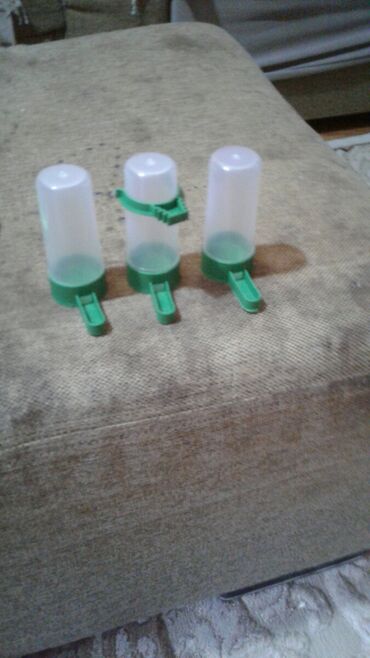 Su və yem qabları: Heyvanlar ucun aksesuarlar satilir qushlar ucun su qablari satılır -da lalafo.az — 21 Su və yem qabları: Heyvanlar ucun aksesuarlar satilir qushlar ucun su qablari satılır — 21