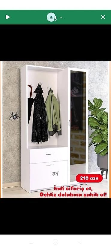 Ev üçün mebel: Dehliz dolabi — 1