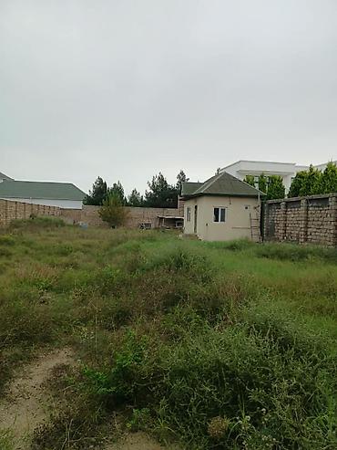 sut satisi: Şüvəlanda McDonalds-ın yanından dənizə gedən yolun sağ tərəfində — 4