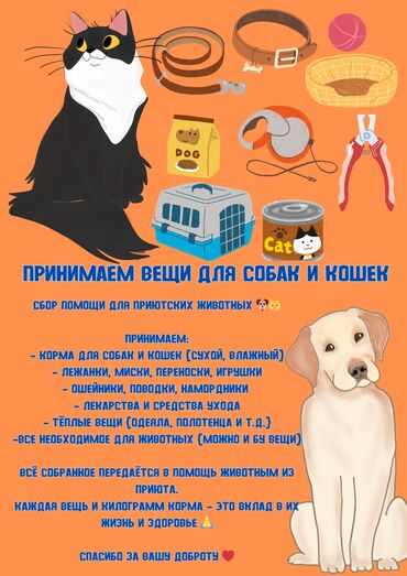приют для бездомных животных бишкек: Принимаем помощь для приютских животных — корм, вещи, лекарства и т.д