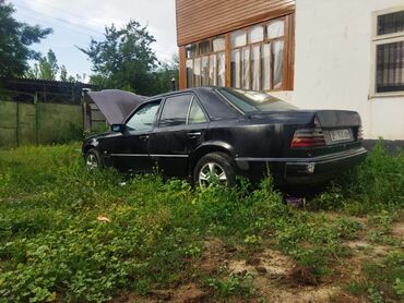 Mercedes-Benz: Mercedes-Benz 250: 1988 г., 2.5 л, Механика, Дизель, Седан