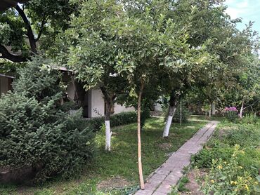 Продажа домов: Дом, 1000 м², 5 комнат, Собственник, Косметический ремонт — 16