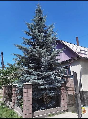 Кыймылсыз мүлк: Продается 3х этажный жилой дом со всеми условиями Имеется гараж, очок — 1