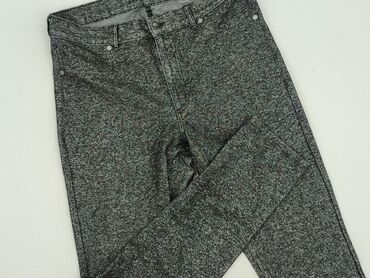 lidl spodnie softshell: Women`s trousers, size L (EU 40)
