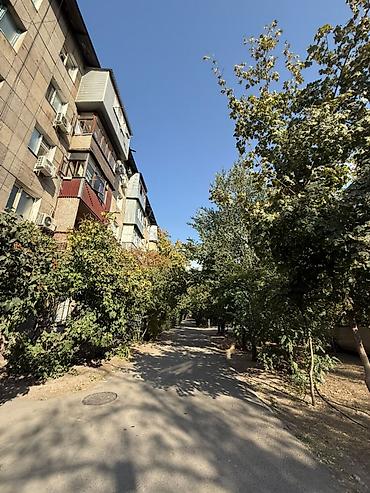 red centr: 3 комнаты, 58 м², Золотой квадрат Индивидуалка, 4 этаж, Свежий ремонт — 10
