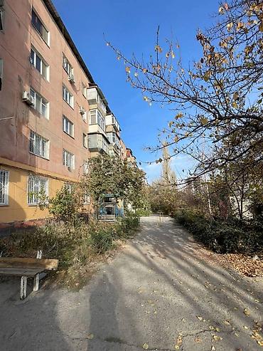 Продажа квартир: 4 комнаты, 76 м², Индивидуалка, 5 этаж, Евроремонт — 2