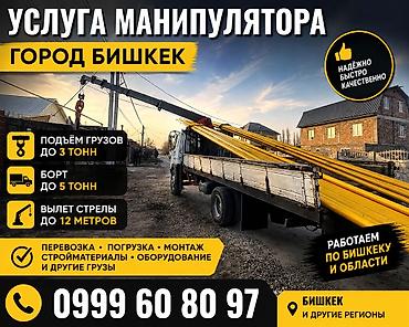 Жаанын 12 м, 3 т., Борттун 5 кг
