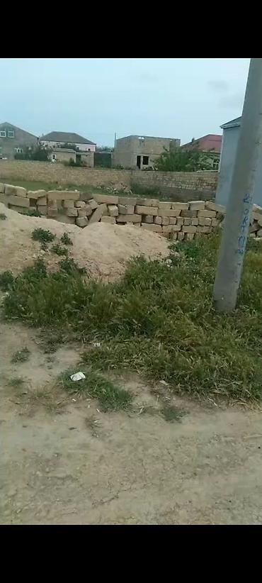 10 sot, Tikinti, Kupça (Çıxarış)