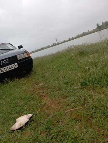 ауди автомобиль: Audi 80: 1990 г., 1.8 л, Механика, Бензин, Седан