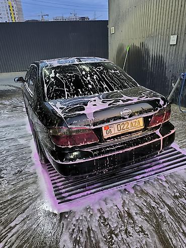 p11: Nissan Primera: 2000 г., 2 л, Седан — 5