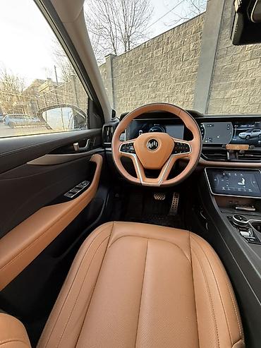 Weltmeister: Weltmeister W6, 2022 г. — 16