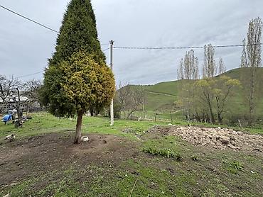 Продажа коттеджей и домов: Продаётся уютный дом площадью 100 м² с просторным участком 28 соток — — 5