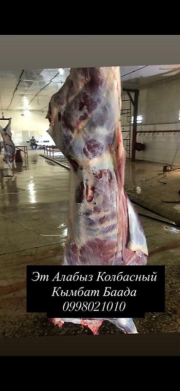 яйца биг 6: Свежие полутуши и отруба для колбасного производства. - Вид мяса — 2