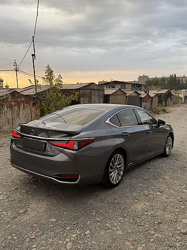 ешка 301: Lexus ES: 2021 г., 2.5 л, Вариатор, Гибрид, Седан — 3