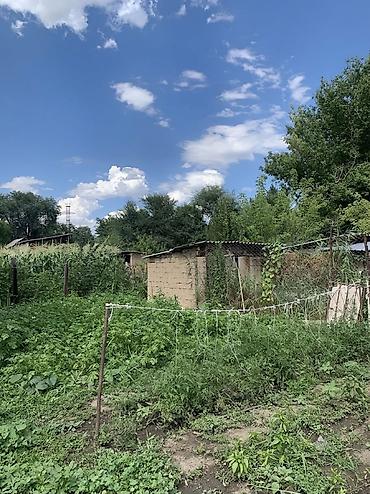 жылой вагон: Дом с участком и хозяйственными постройками - Просторная — 6