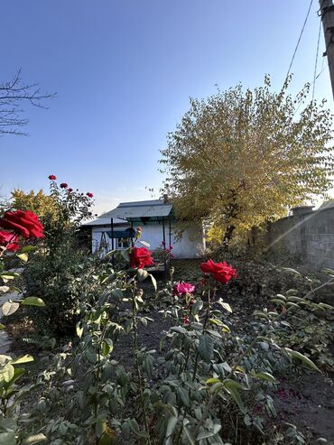 Продажа домов: Дом, 57 м², 4 комнаты, Риэлтор, Косметический ремонт — 11