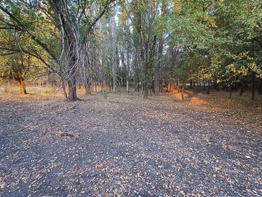 Продажа участков: 12 соток, Для строительства, Красная книга — 2