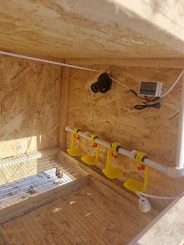 Товары и оборудование для с/х животных: Жөжөлөрго Бурдерлер Жөжө Капас Бар жөжөгө Ар кыл размер ар кыл баада at lalafo.kg — 2 Товары и оборудование для с/х животных: Жөжөлөрго Бурдерлер Жөжө Капас Бар жөжөгө Ар кыл размер ар кыл баада — 2