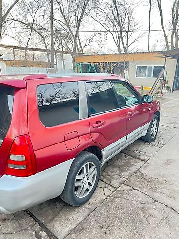 Subaru: Subaru Forester: 2004 г., Бензин — 1