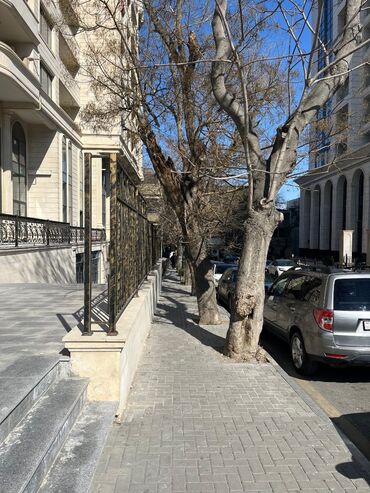 Digər kommersiya daşınmaz əmlakı: Sahibi tərəfindən icarəyə verilir: Səbayıl rayonu,Bayıl qəsəbəsi — 13