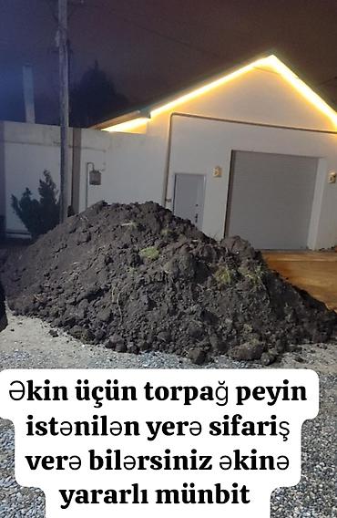 продать ковер бу: Qara meşə torpağı, kübrə əvəzi Yanmış peyin Şamaxı İsmayıllı — 2