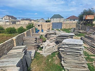 Другое: Diklər taxdalar satlır yaxşı vəzyədədi ünvan Binə savxoz Ardiyada — 8