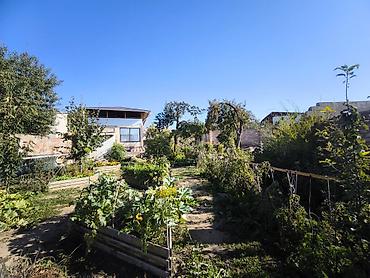 Продажа отелей и хостелов: Продается ухоженная усадьба с двумя домами и плодоносящим садом в — 2