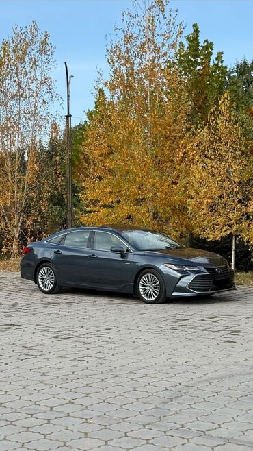 по всем вопросам обращаться по номеру: Toyota Avalon: 2019 г., 2.5 л, Вариатор, Гибрид, Седан