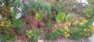 Uzunmüddətli kirayə evlər: 125 kv. m, 4 otaqlı, Kombi, Qaz, İşıq -da lalafo.az — 11 Uzunmüddətli kirayə evlər: 125 kv. m, 4 otaqlı, Kombi, Qaz, İşıq — 11