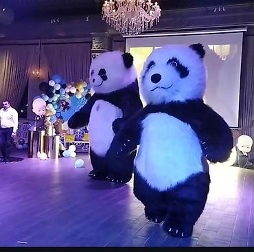 pubg mobile uc pulsuz: Salam panda geyim persanaji satilir 1 illik pandadir yeni alinib tek — 2