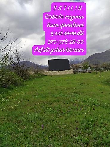 qalada torpaq: 5 sot, Tikinti, Mülkiyyətçi, Kupça (Çıxarış) — 8