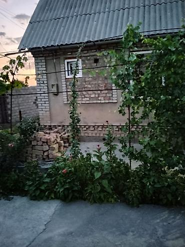 с хранения: Дачный участок с кирпичным домиком и хозяйственными постройками - — 2