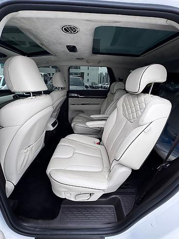 Hyundai: Hyundai Palisade: 2021 г., Кроссовер — 29