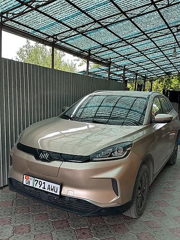 чанган юни с: Weltmeister EX5, 2021 г., 112000 км, Передний, В наличии — 2