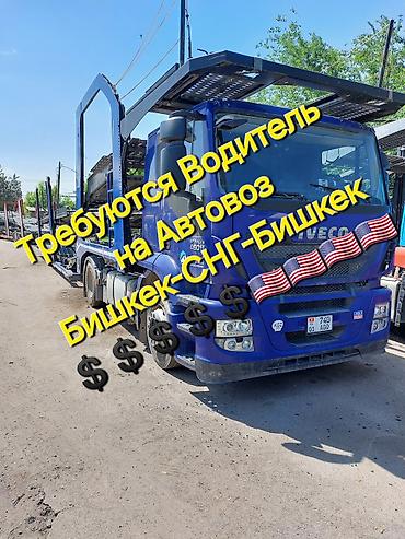 ce: Требуется Водитель грузового транспорта, Категория прав (CE), На автовоз, Мужчина — 1