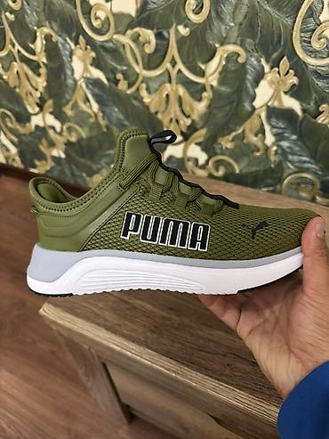 pull and: Кроссовки, 40, Puma, Новый, цвет - Зеленый, Платная доставка, Самовывоз — 4