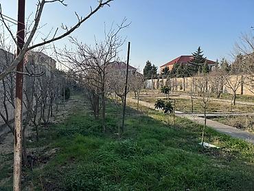 maştagada evlər: Satılır: geniş həyət sahəsi və iki mərtəbəli ev - İki mərtəbəli — 2