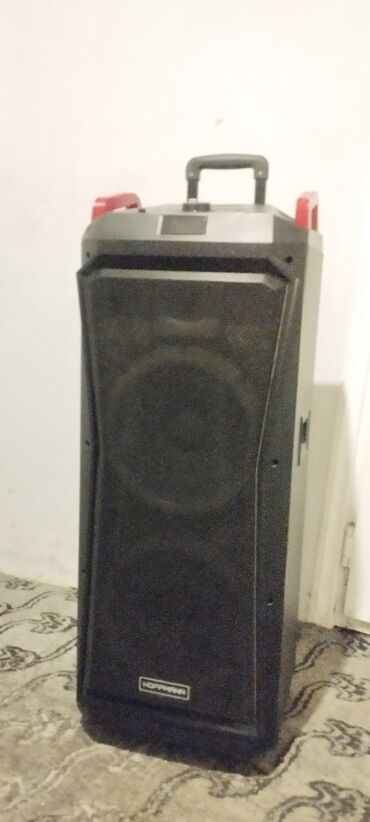 Dinamiklər və kolonkalar: Hoffmann portativ akustik sistemi - Güclü səs üçün iri ölçülü iki — 1