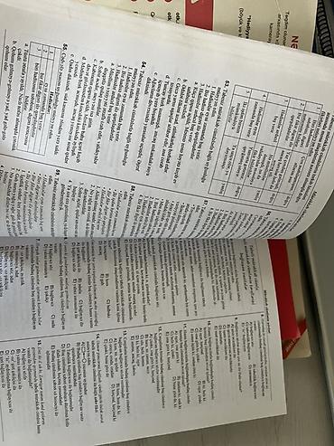 Testlər: Azərbaycan dili Testlər 11-ci sinif, DİM, 2-ci hissə, 2023 il — 2