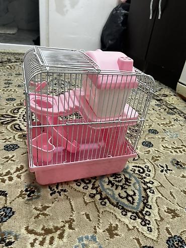 Qəfəslər: 1 ədəd ana hamster 3 ədəd bala hamster 2 kletka biri böyük biri — 3