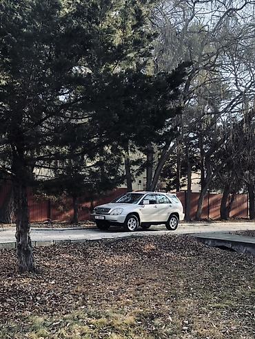 Lexus: Lexus RX: 2002 г., 3 л, Бензин, Кроссовер — 6